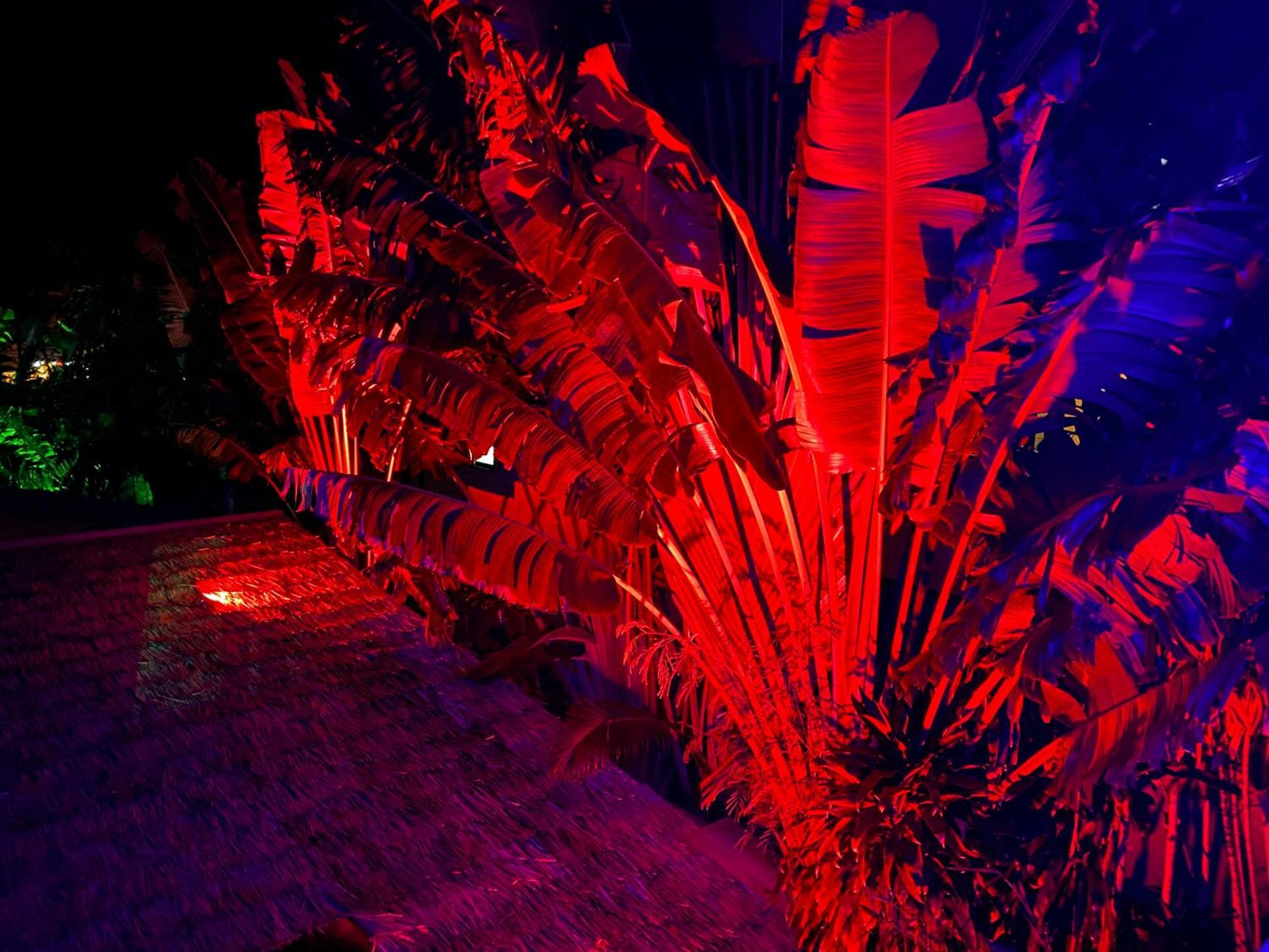 Stunning Villa With Ocean Views And Free Car Lamaj-part Kültér fotó